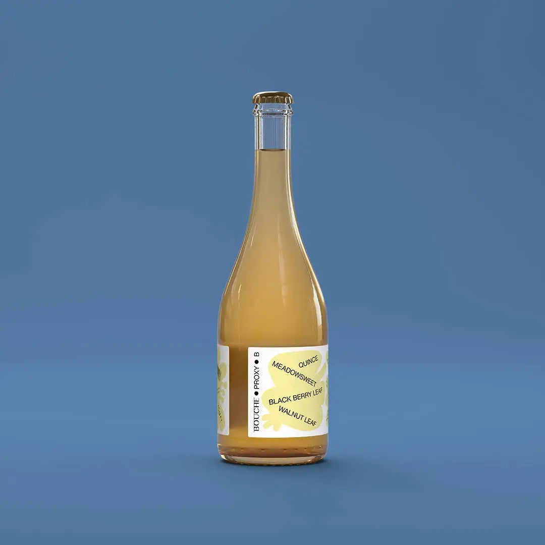 PROXY • B • ALKOHOLFREI - BOUCHE • KOMBUCHA