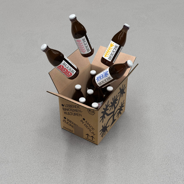 Kombucha Mixed 12er-pack