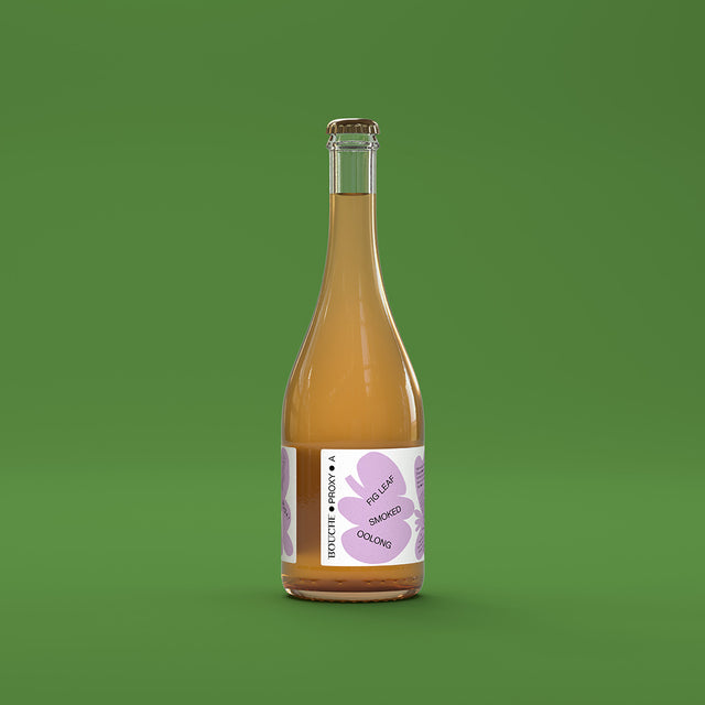 Eine Flasche PROXY A Kombucha, eine alkoholfreie, sprudelnde Alternativ