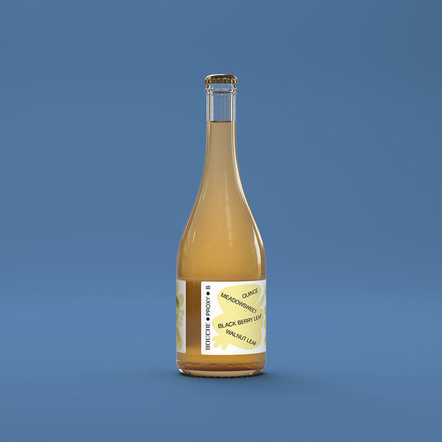 Eine Flasche PROXY B Kombucha, eine alkoholfreie, sprudelnde Alternativ